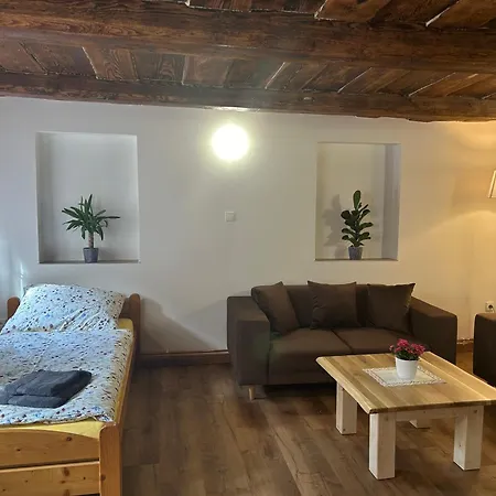 U Zizky Aparthotel *