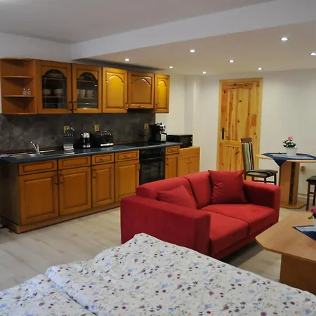 Aparthotel U Zizky 3*
